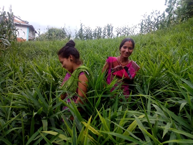 Agriculture
